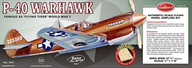Cutris P-40 Warhawk